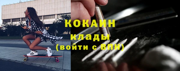 МДПВ Алзамай