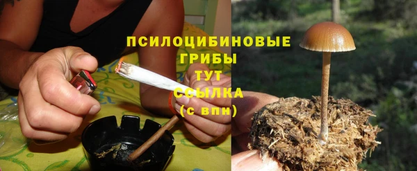 МДПВ Алзамай