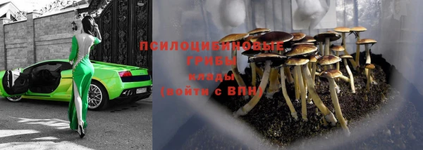 мескалин Алексин