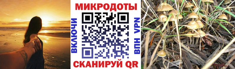 Псилоцибиновые грибы ЛСД  Катайск 
